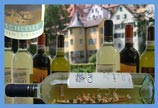 Stocherkahn Tübingen. Wine-Tour